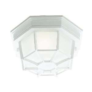   Basics Collection Outdoor Ceiling Mount Fixture