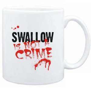    Being a  Swallow is not a crime  Animals