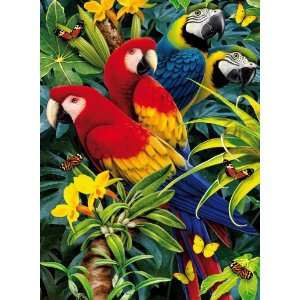    Majestic Macaws 1000 Piece Magic 3D Jigsaw Puzzle Toys & Games