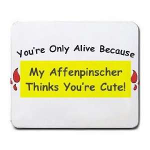 Youre Only Alive Because My Affenpinscher Thinks Youre 