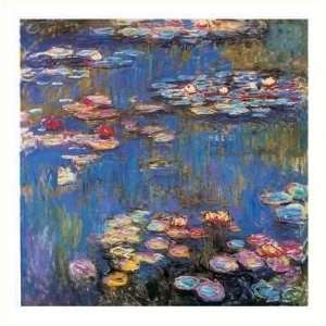 Waterlilies Poster Print 