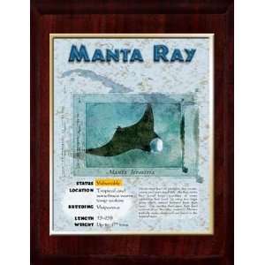Marine (Manta Ray) Animal Planet Products 10 x 13 Plaque with 8 x 