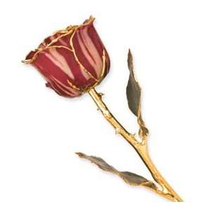  Lacquer Dipped Gold Trim Abracadabra Rose Jewelry