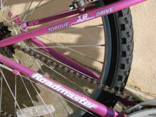   /_Sporting_Outdoor_Equipment/04/Bike_RoadMaster_Pink_g