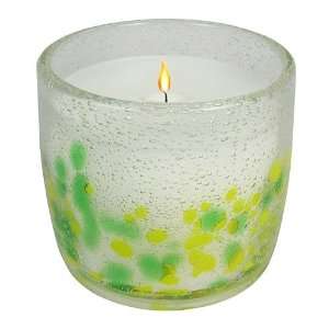  SONOMA life + style Coconut Lime Filled Candle