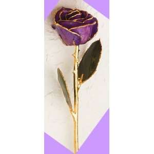  Gold trimmed Purple Preserved Rose