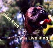 Dog Puppy training check choke chain   medium size / weight 16 18 20 