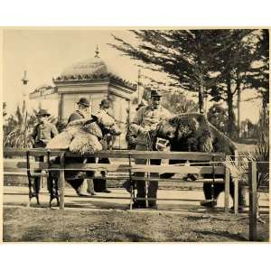  1894 California Midwinter Fair Expo Trained Bears Print 