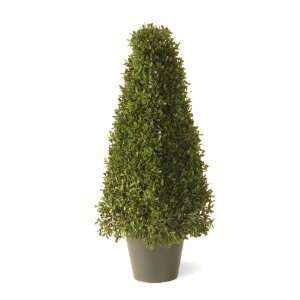   Square Topiary with 6 1/2 Inch Round Green Plastic Pot, 24 Inch Home