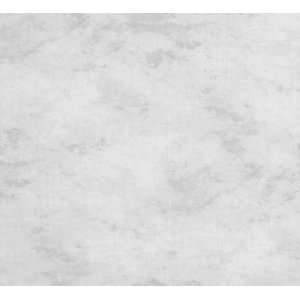   Muslin Background with Carrying Case (Carrara White)