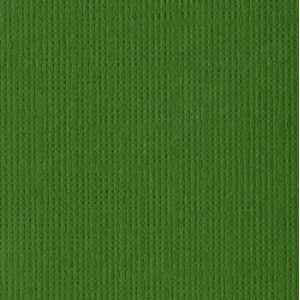  Patch Burlap 12 X 12 Bazzill Cardstock (Green) Arts 