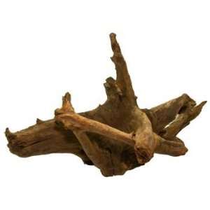  Top Quality Malaysian Driftwood X   large