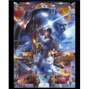   Star Wars   30th Anniversary 16 x 20 inches