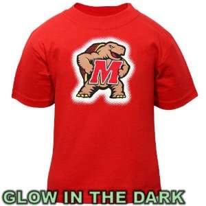  UM Terps Tshirt  Maryland Terrapins Infant Glowgo T Shirt 