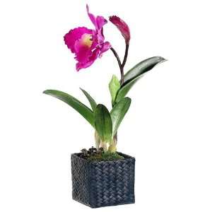   Orchid Silk Flower Arrangement  Purple (case of 4)