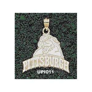  Univ Of Pittsburgh Panther Head Pittsburgh Charm/Pendant 