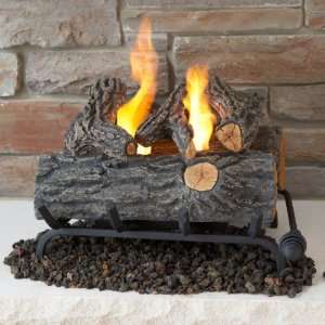   Flame 2610 O Indoor Convert Gel Log Fireplace Insert