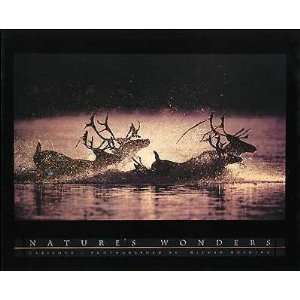  Michio Hoshino   Caribou Canvas