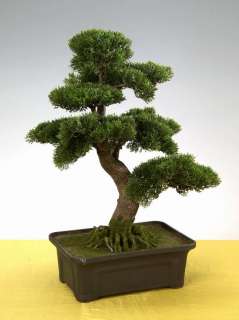 Bonsai Yamamoto 45x65cm Kunstpflanze Asien Japan Deko  