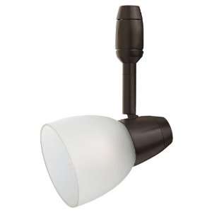  Seagull Track SG 94539 71 One Light Rustica Directional 