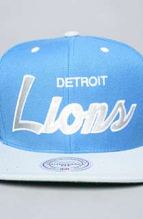 Mitchell & Ness The Detroit Lions Script 2Tone Snapback Cap in Grey 