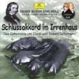 Krimis Schlussakkord im Irrenhaus (Schumann) von Hubert Schlemmer 