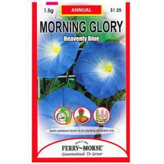 Ferry Morse Morning Glory Heavenly Blue Seed 8047  