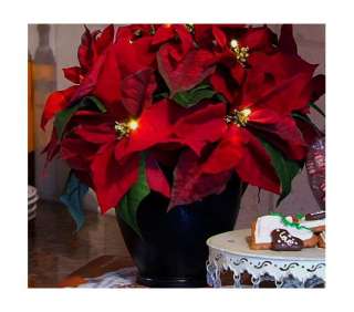 Bethlehem Lights Battery Operated 13 Poinsettia Planter with Timer 