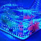   12V 3528 SMD 300 LED Blue Strip Light Waterproof IP65 Under Water Tape