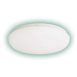 By International Lighting  White Finish 1Lt Ceiling Fixture with White 
