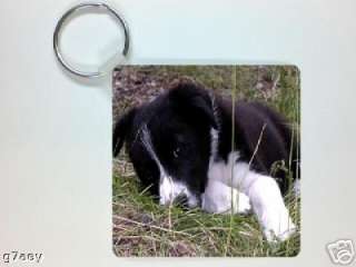 BLACK & WHITE BORDER COLLIE PUPPY PICTURE KEYRING  
