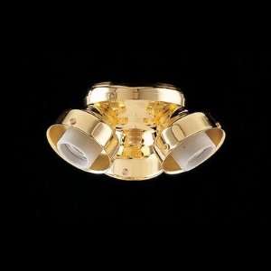  Three Light B8 Turtle Light Kit in Polished Brass