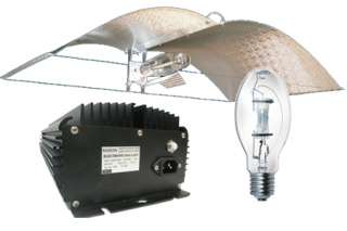 Adjust A Wing Large w/ 1000w Radeon Ballast & MH Lamp   Digital E 