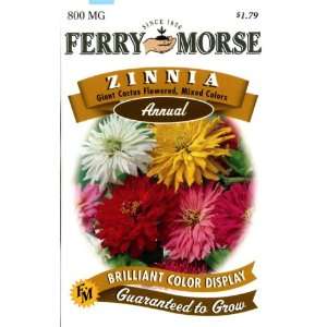 Ferry Morse Annual Flower Seeds 1169 Zinnia   Cactus Flow Mixed Color 