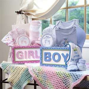  Arrive in Style   New Baby Girl Basket Gift Set   10 Piece 