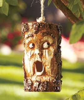 Unique Humorous Wood Look Character Birdhouse  