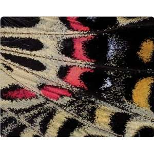  Butterfly Wing skin for iPod 5G (30GB)  Players 