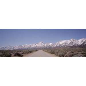Bushes on Both Sides of a Road, Sierra Nevada, California, USA Premium 