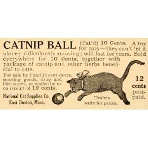  1909 Ad Catnip Ball Herbs National Cat Supplies Boston 