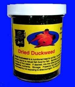 Dried Duckweed Fish Food  