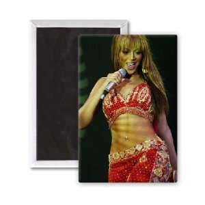 Beyonce Knowles   3x2 inch Fridge Magnet   large magnetic button 