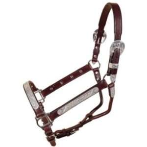  Tory Pecos Bill Show Halter w/Lead Weanling Dark O Pet 