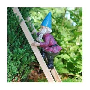  Echo Valley 6201 Ladder Jack Climbing Gnome Patio, Lawn 