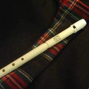 Carey Parks Every WALKABOUT Whistle Polymer Pennywhistle & Bag   High 