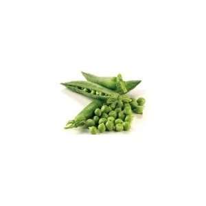  Todds Seeds   Thomas Laxton Pea Seed   20g Seed Packet 