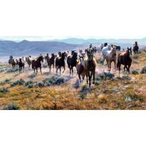 Tim Cox   Cow Horse Country Canvas