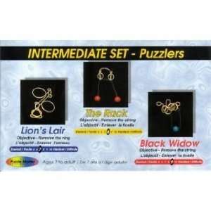  Metal Disentanglement Puzzles Intermediate Set Toys 