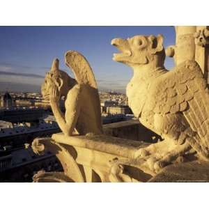 Gargoyles of the Notre Dame Cathedral, Paris, France Art Photographic 