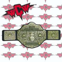 licensed by wwe wcw world championship kid s size replica belt