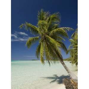  Fakarawa, Tuamotu Archipelago, French Polynesia, Pacific 